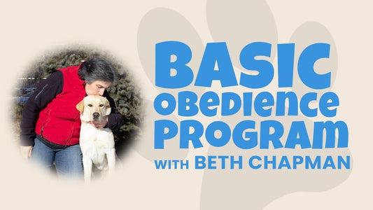 Basic Obedience Program